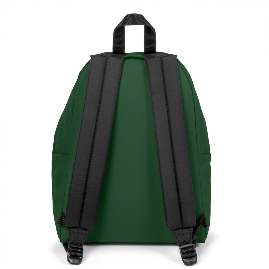 EASTPAK PADDED PAK'R BRISTLE GREEN Hátizsák EK0006205V41 - 3