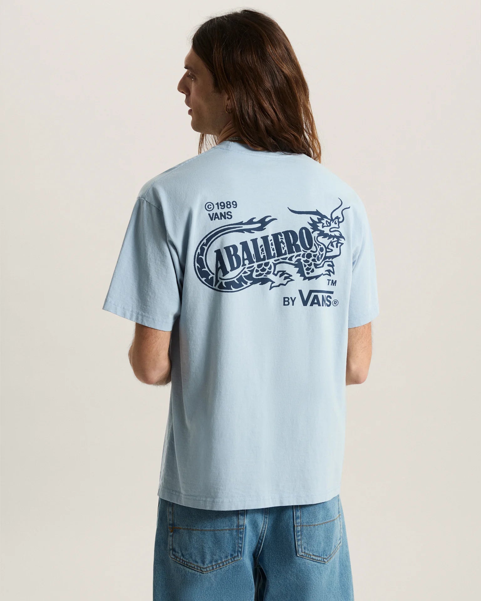Vans Caballero SS Tee Soft Slate Textil VN000XHBH901 - 4