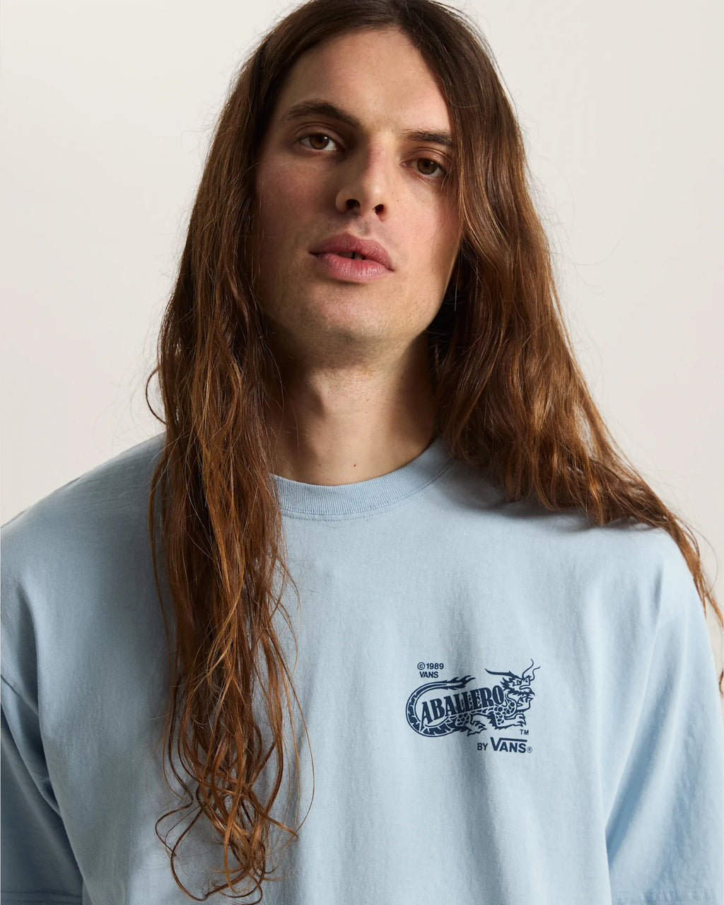 Vans Caballero SS Tee Soft Slate Textil VN000XHBH901 - 6