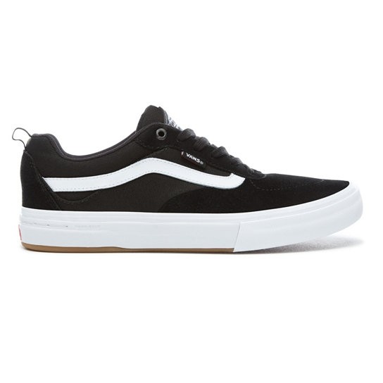 Vans skywalker online pro