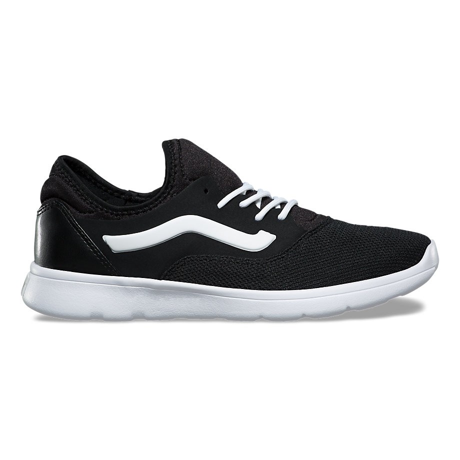 Staple iso route top vans