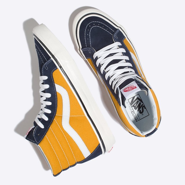 SK8-Hi 38 DX