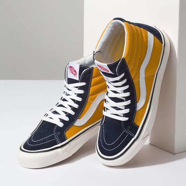 SK8-Hi 38 DX