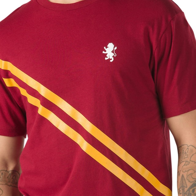 HARRY POTTER GRYFFINDOR SS