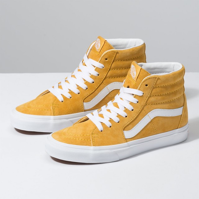 SK8-Hi