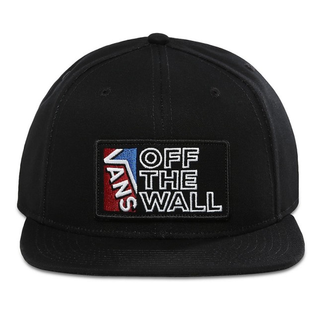 VANS DIMENSIONS SNAPBACK