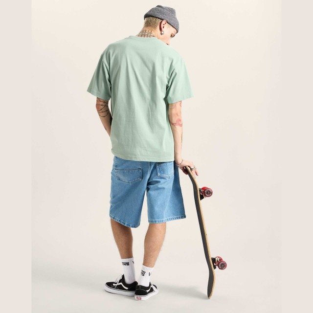 SALTON LOOSE SS
