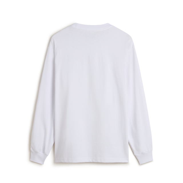 SALTON LOOSE LS
