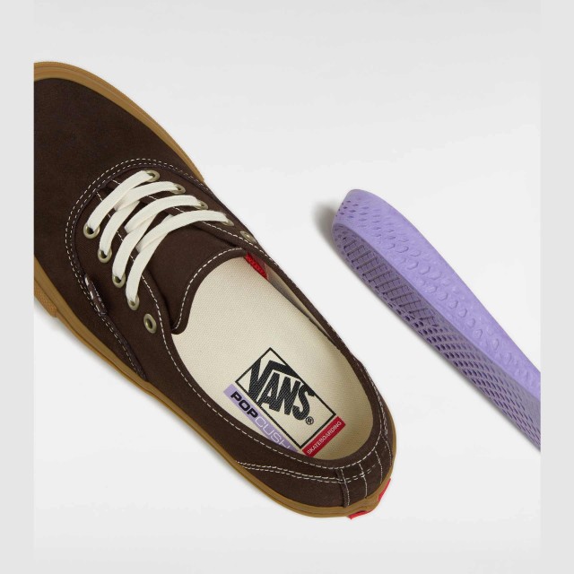 Skate Authentic