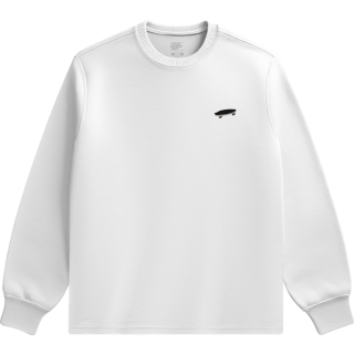 SALTON LOOSE LS