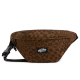 Dachshund